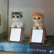 livepro2유니크함을더하는씨앤에이치