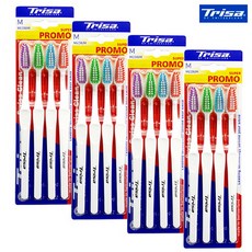 솔트레인칫솔