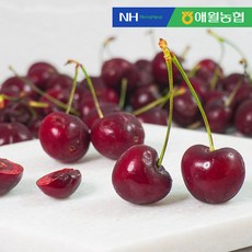 [제주직송] 애월농협 우리손으로 키운 제주 체리 250g x 4팩