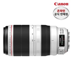 캐논 EF 100-400mm F4.5-5.6L IS II USM