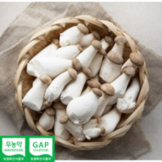 미니 새송이버섯 2KG 가정용 다이어트 못난이 꼬마새송이 신선함 싱싱함 쫄깃함 볶음 조림 요리 버터구이 장조림 베타글루칸 식이섬유, 1개, 엄지 2kg