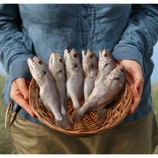 밥도둑이 따로 없는 부드럽고 고소한 프리미엄 백조기, 1개, [선물포장] 백조기 2.8kg(10미_특특대)