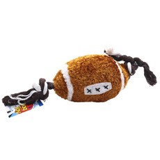 바람펫피트니스프로