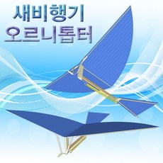 새비행기
