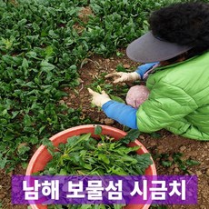 일등농수산 산지직송 해풍 남해 보물섬 시금치, 1개, 3kg
