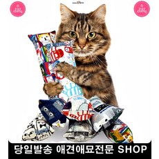 펫샵베개사이트