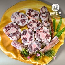 큰꼬리친구들