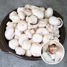 [전대표] 부여 못난이 양송이 버섯 2kg 산지직송 ugly white button mushroom B품