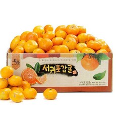 2023년 나영이네농장 햇 감귤 4.5kg 9kg 소과/로얄과/중과 외 실중량, 햇 감귤 4.5kg(L~2L)-중과(실중량), 1개