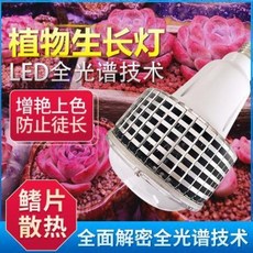 b11d9144c62938c43e71c9068db6c4238deb1a916c935b94d099e74ce920.jpeg
