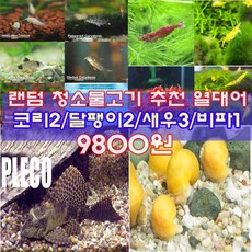 //상품명