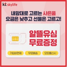 kt스카이라이프유심