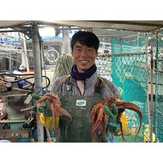 [미진수산] 직접 잡아 판매하는 통영 자연산 돌문어 [제수용문어] [일반문어] 1Kg 1.5Kg 2Kg, 산소포장해주세요, 제수용 문어, 1.5kg(1마리)