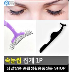 증명사진집게