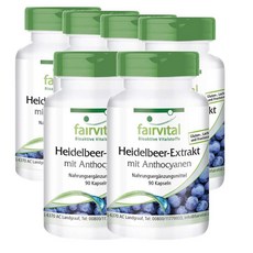 독일 페어바이탈 fairvital Blueberry 안토시아닌이 함유된 블루베리 추출물 1500mg, 6개, 90정