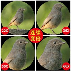 21c032568c9915a05d82c485f27c0260e3cd95f73b7f7d6a47a596fb2254.jpeg