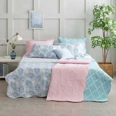 메종노아고주파스프레드sk