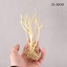 수초바닥재 작은 수족관 유목 DIY 수중 다기능 조경 어항 환경 1 개 3140886179, 2, 1개