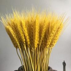 23c5d8613d273d04936211b1cb240bcfa0c3f12d430987c5e012e4fe63a0.jpg