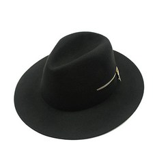 페도라c3