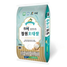 김화농협 GAP인증 두루웰 철원오대쌀 백미, 10kg, 1개