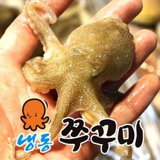 국산 서해안 산지직송 생물 활 쭈꾸미 알쭈꾸미 1kg 냉동 주꾸미 1kg