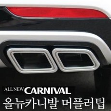 올뉴카니발머플러팁