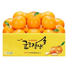 제주 농협 귤로장생 당도선별 천혜향2kg(7-10과내외), 2kg(7-10과내외), 1개