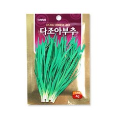다조아 부추 4g, 1개