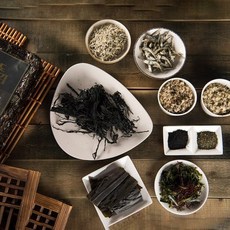 바다속풍경