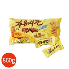 해태제과 자유시간 미니 리얼초코, 860g, 1개