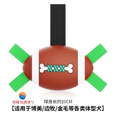 물놀이럭비공