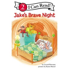Jake's Brave Night: Biblical Values Paperback, Zonderkidz