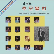 김아름lp