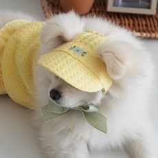 이구사공 다즐링 선데이베스트 강아지 썬캡 모자, 옐로우