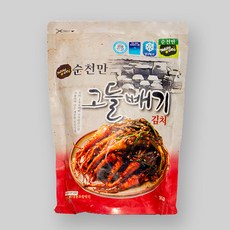 더착한가게 [순천고들빼기] 개랭이 고들빼기 김치, 1봉, 1kg