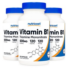 비타민 B1 500mg 120캡슐 3병