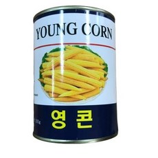 영콘