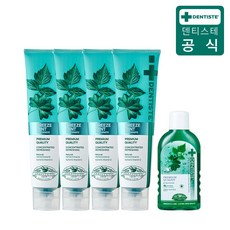 덴티스테 뉴브리즈민트 치약 180g×4개 + 내츄럴 오랄린스 가글 100ml x1개, 없음