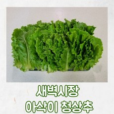 청상추4kg