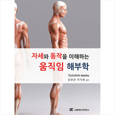 움직임해부학