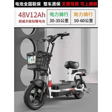 제주도전기자전거대여