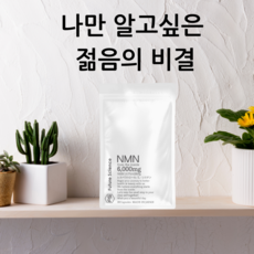 일본 NMN 영양제 효능 노화의 종말, 1개, 30정