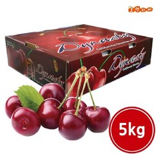 항공직송 생 체리 5kg 1박스 미국산(10R-10.5R), 단품