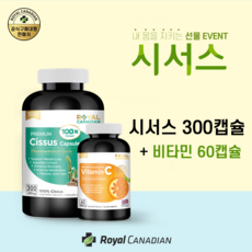 라스고수면양말