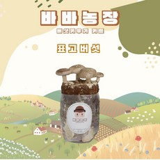 바바농장 고기 느타리 표고 버섯키우기 싱글키트 버섯배지 종균 버섯키트, 1개, 표고배지(싱글키트)