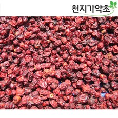 오미자모형