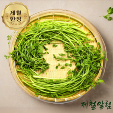 제철알림 국내산 생 미나리 돌미나리 400g 1kg, 1개