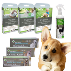 강아지사상충약