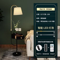 까사미아플로어램프